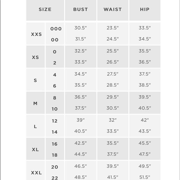 NWT Polo Ralph Lauren Underwire Bikini 2 piece Set Daisy Blue L - Picture 5 of 5